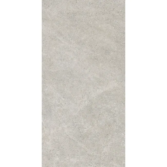 Roca Rivere Grey Marble Look Matt Porcelain Tile 300x600mm