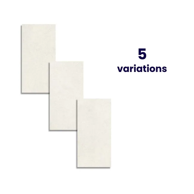 Everlast White Limestone Look Matt Porcelain Tile 600x1200mm