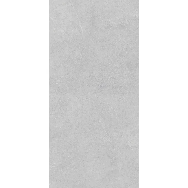 Carnaby Grey Concrete Look Slip Resistant Porcelain Tile 300x600mm