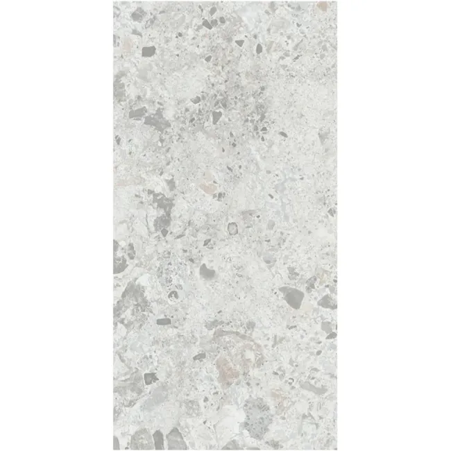 Bergamo Light Grey Terrazzo Look Slip Resistant Porcelain Tile 298x600mm