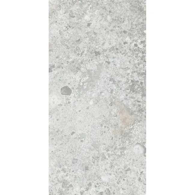Bergamo Light Grey Terrazzo Look Slip Resistant Porcelain Tile 298x600mm