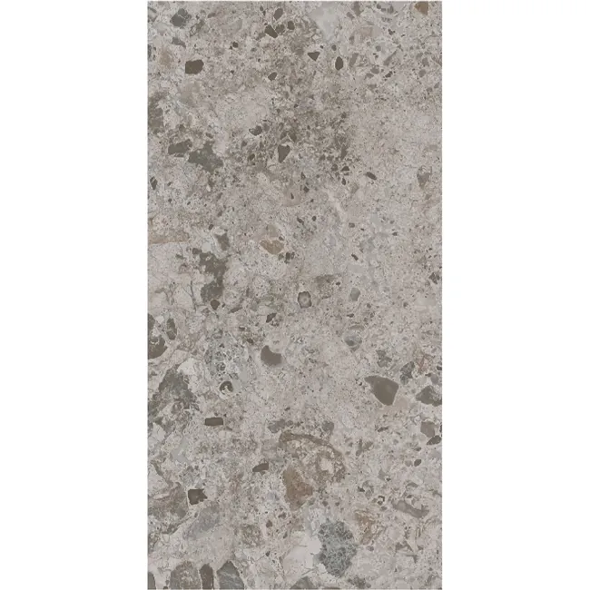 Bergamo Beige Terrazzo Look Slip Resistant Porcelain Tile 298x600mm