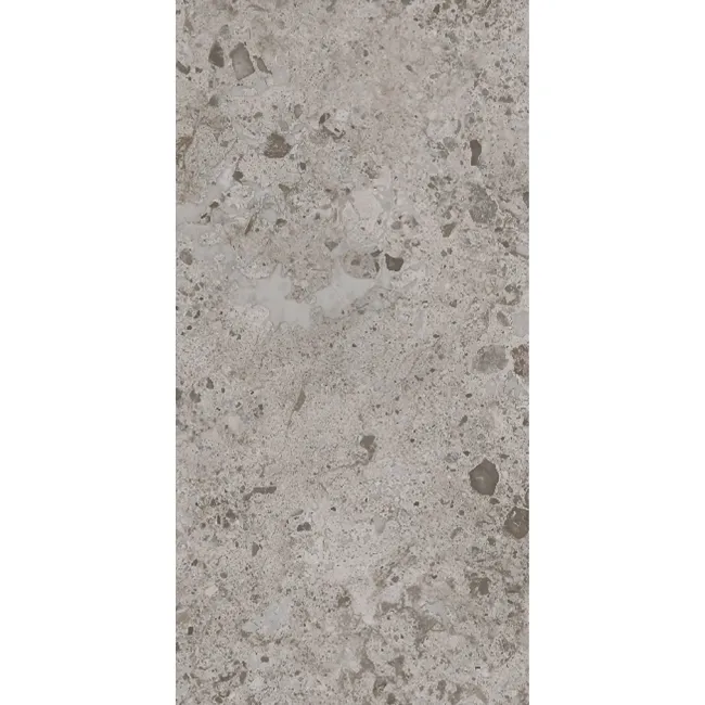 Bergamo Beige Terrazzo Look Slip Resistant Porcelain Tile 298x600mm