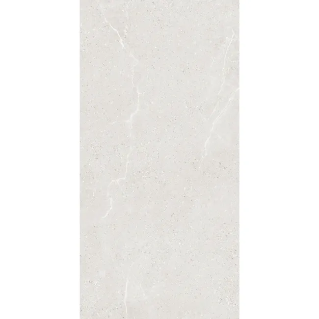 Monza Light Grey Stone Look Matt Porcelain Tile 600x1200mm