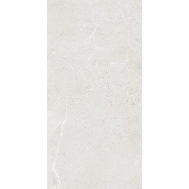 Monza Light Grey Stone Look Matt Porcelain Tile 600x1200mm