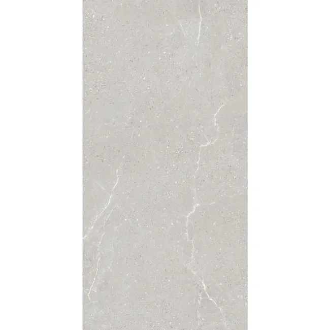 Monza Grey Stone Look Matt Porcelain Tile 600x1200mm