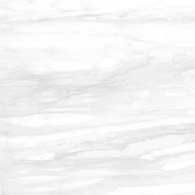Elenora White Marble Look Matt Porcelain Tile 600x600mm