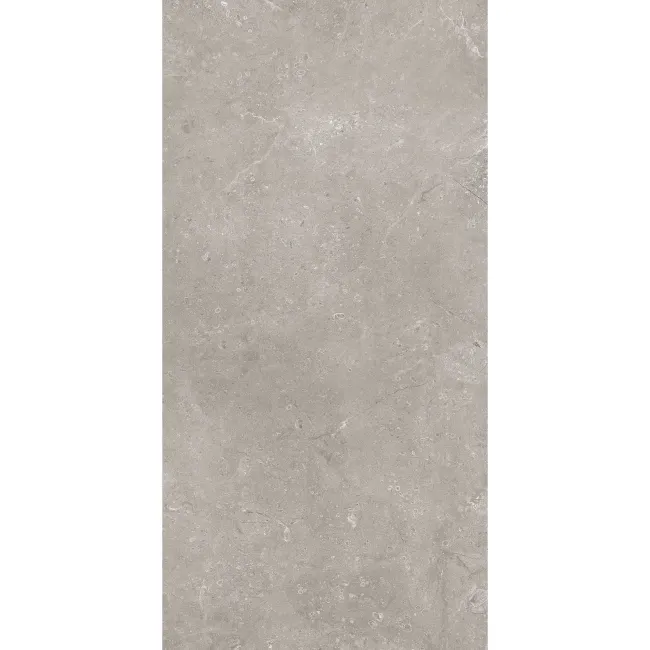 Vermeer Grey Stone Look Matt Porcelain Tile 298x600mm
