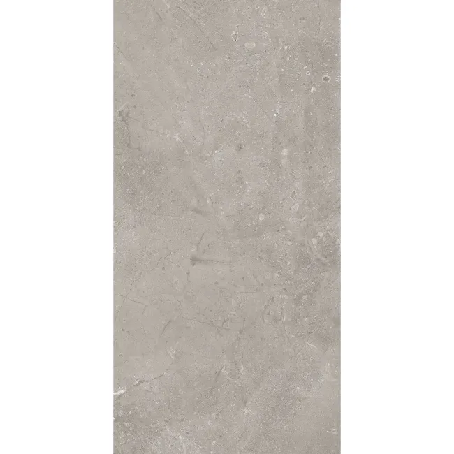 Vermeer Grey Stone Look Matt Porcelain Tile 298x600mm